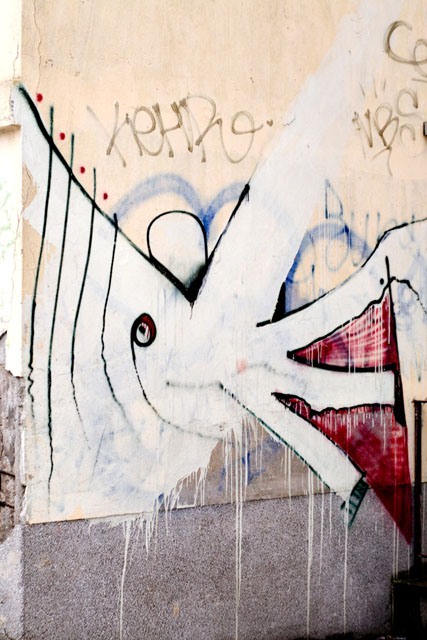 Photography by Dia Lacina