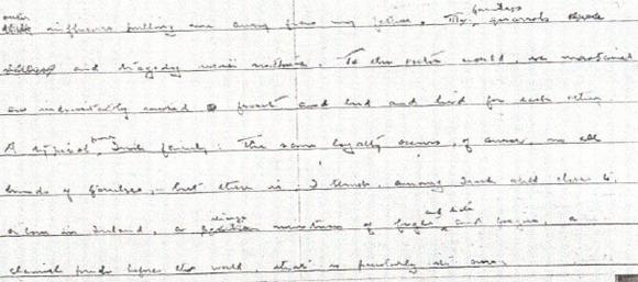 My family's quarrels and tragedy were within. To the outer world we maintained an indomitably united front and lied and lied and lied for each other. A typical pure Irish family. The same loyalty occurs, of course, in all kinds of families, but there is, I think, among Irish still close to, or born in Ireland, a strange mixture of fight and hate and forgive, a clannish pride before the world, that is peculiarly its own.