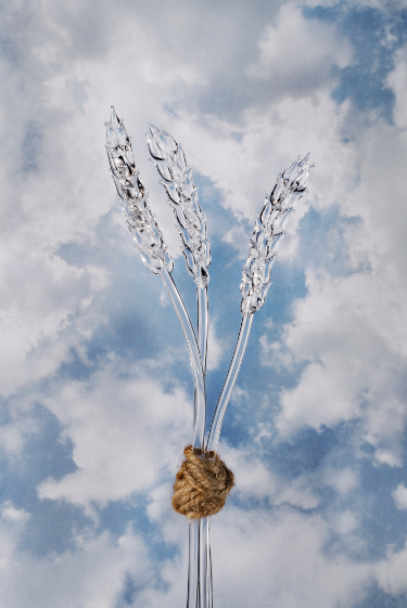 The Glass Wheatfield, by Jacqueline Berting three transparent stalks of wheat made out of glass and tied with brown twine, against the sky
