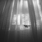 Wah-Ming Chang – Woodstock, New York, 2012