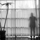 Wah-Ming Chang – Flushing, New York, 2011