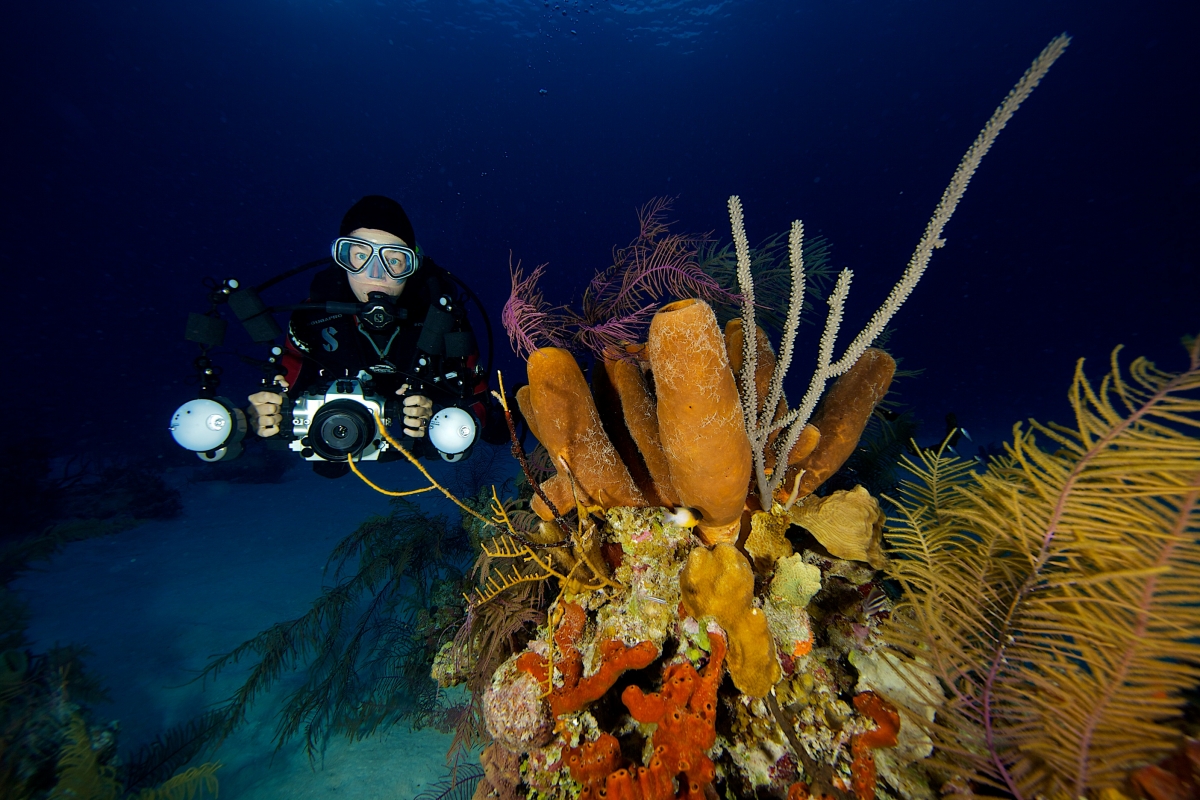 Marie-Elizabeth Mali Folio Introduction